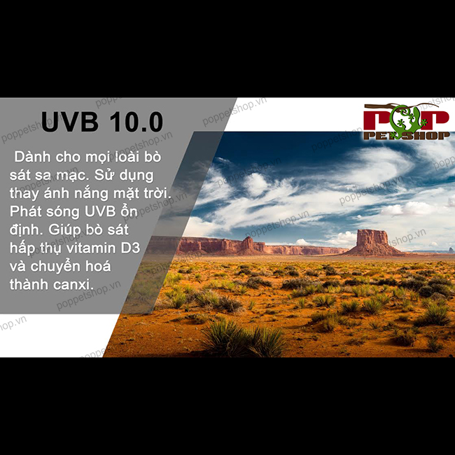 Đèn UVB mặt trời bò sát Sa Mạc - Hãng HongYi / Boshi 10.0 » Pop Pet Shop