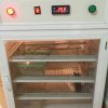 Máy Ấp Trứng Bò Sát