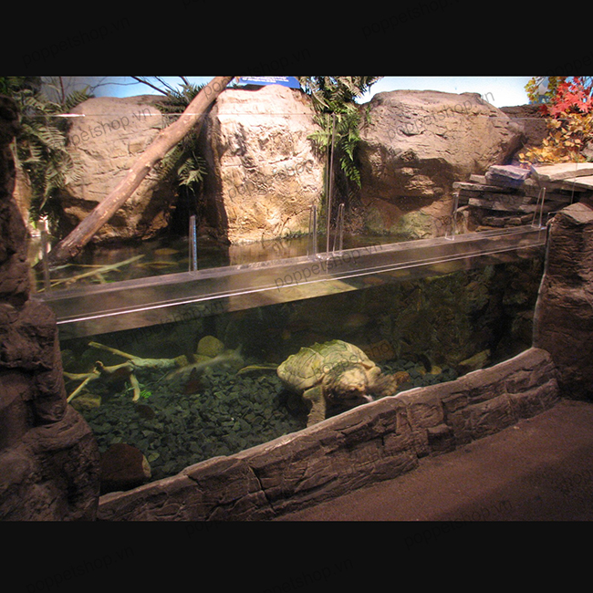 ruacasaualligatorsnapping