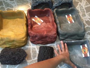 Rắn Bò - Bullsnake