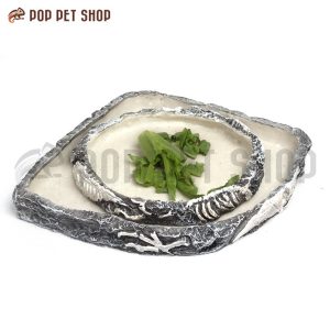 máng ăn rùa cạn