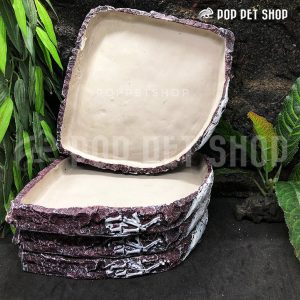 máng ăn rùa cạn