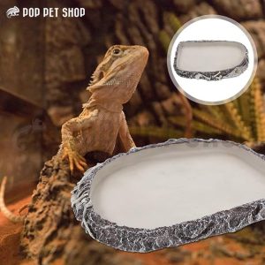 máng ăn rùa cạn