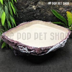 máng ăn rùa cạn