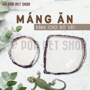 máng ăn rùa cạn