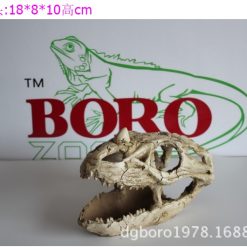 Sọ Tê Giác Cho Bò Sát