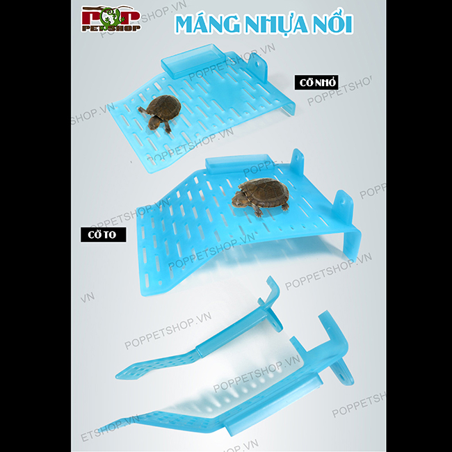 mangnoiruanuocmauxanh