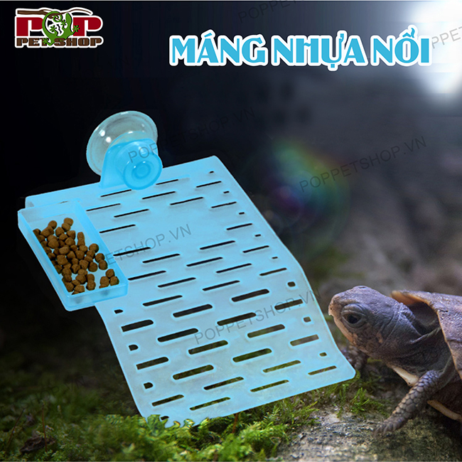 mangnoiruanuocmauxanh2