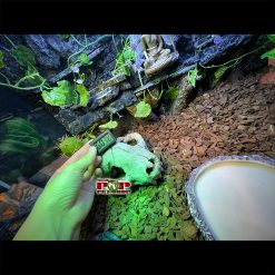 Chuồng Kính Nuôi Bò Sát