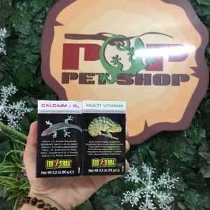 mắt rùa châu phi