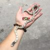 Rắn Vua - King Snakes (không độc - thế mới hay)