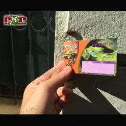 Thẻ đo tia UVB bò sát - Hãng WACOOL