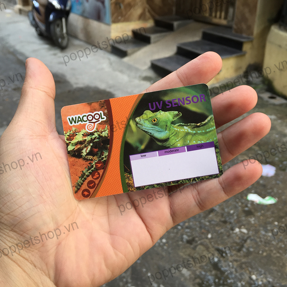 thedotiauvbbosat8