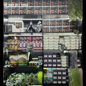 chụp đèn bò sát