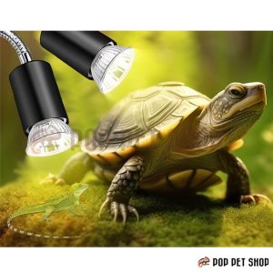 kẹp đèn chuồng bò sát