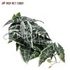 Cây giả decor (Lá Alocasia) Cho Bò Sát HN HCM