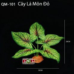 Lá Môn Đỏ Cho Bò Sát HN HCM