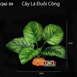 Lá Đuôi Công Cho Bò Sát HN HCM