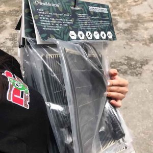 Rắn Bò - Bullsnake