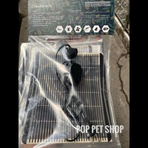 Rắn Bò - Bullsnake