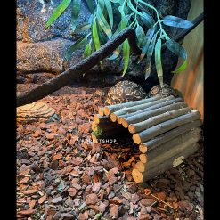 Hang trú gỗ cho bò sát size nhỡ