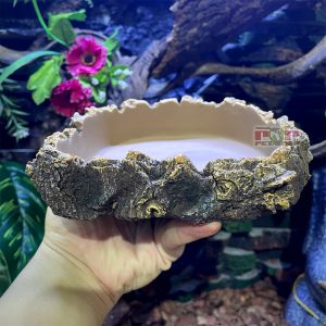 Rắn Bò - Bullsnake