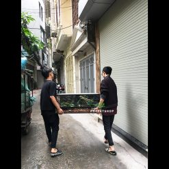 Chuồng Kính Bò Sát (Dài 90cm x Rộng 40cm)