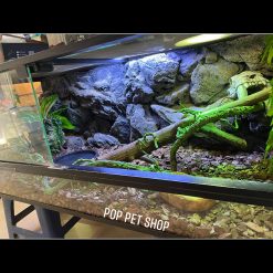 Chuồng kính bò sát - Chuồng nuôi D100 x R40cm