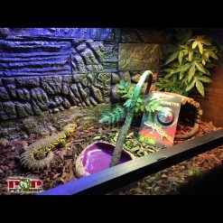 Chuồng Kính Bò Sát. Chuồng nuôi D100 x R40