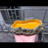 Máng ăn máng nước bò sát - Mã số 2 (S)- Hãng Repti Zoo