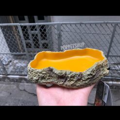 Máng ăn máng nước bò sát - Mã số 2 (S)- Hãng Repti Zoo