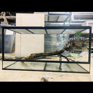 chuồng rùa núi vàng