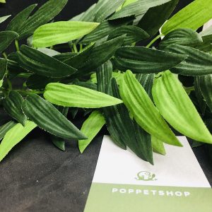 lá trúc chuồng bò sát