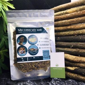 sâu canxi 