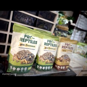 thức ăn rùa cạn