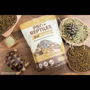thức ăn rùa cạn pro-reptile