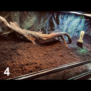 chuồng rùa núi vàng