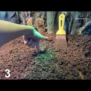 chuồng rùa núi vàng