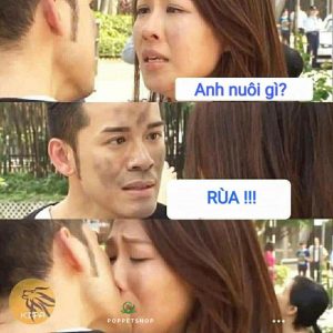 rùa châu phi kẻ vạch