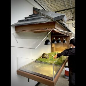 đèn siêu uv bò sát