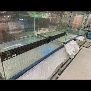 chuồng bò sát chuyên dụng