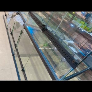 chuồng bò sát chuyên dụng