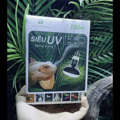 Đèn Siêu UV 4in1 - Đèn Hội Tụ/ Tích Hợp 4 Trong 1 (Bóng 80w-100w-160w)