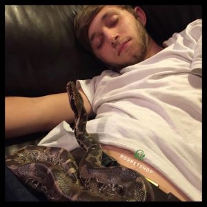 black blood python