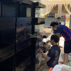 thanh lý chuồng gỗ bò sát