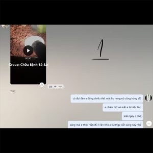 mắt rùa châu phi