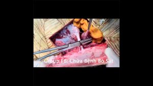 RÙA CHÂN ĐỎ ĂN