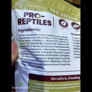 vitamin k3 rùa châu phi