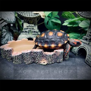 máng ăn máng nước bò sát