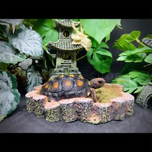 máng ăn máng nước bò sát